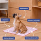 🔥Summer Hot Sale 49% OFF🧊Premium Cooling Mat For Pet– UK Ready! 🇬🇧