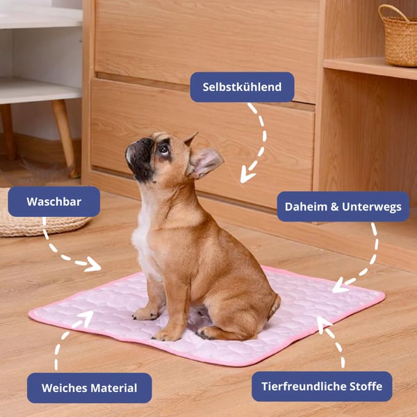 🔥Summer Hot Sale 49% OFF🧊Premium Cooling Mat For Pet– UK Ready! 🇬🇧