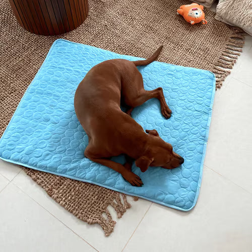 🌞🐱Summer Hot Sale 49% OFF🧊Premium Cooling Mat For Pet🐶