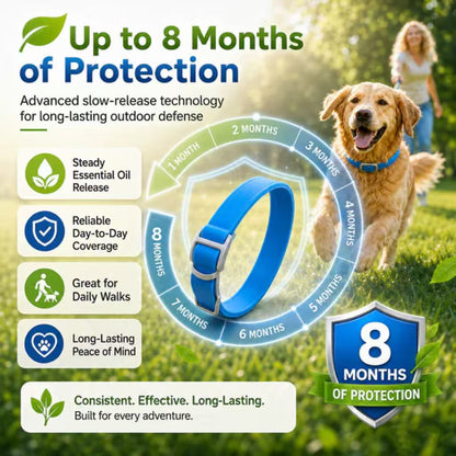 Natural Essential Oil Pet Pest Repellent Collar