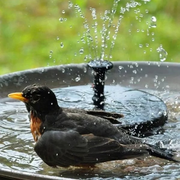 🔥LAST DAY SALE ￡9.99!!💥-🏡Upgraded Solar Powered Water Fountain Pump With Accessories