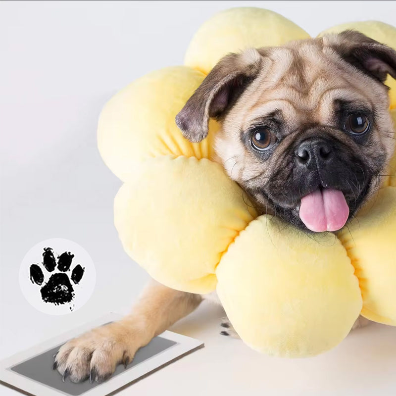 🎁 50% OFF🐶Pet Paw Printing Kit🐾🐾