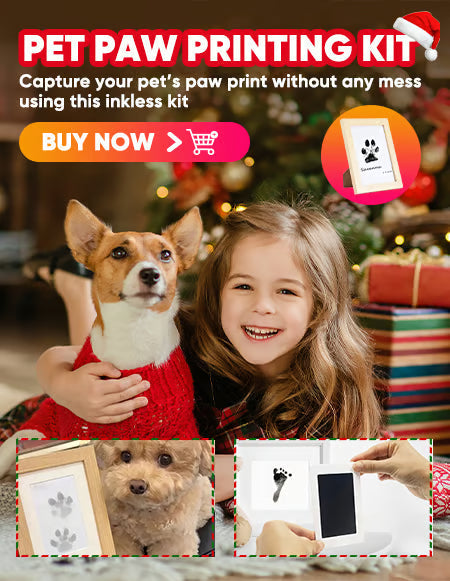🎁 50% OFF🐶Pet Paw Printing Kit🐾🐾