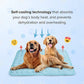 🌞🐱Summer Hot Sale 49% OFF🧊Premium Cooling Mat For Pet🐶
