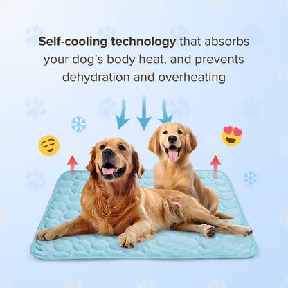 🌞🐱Summer Hot Sale 49% OFF🧊Premium Cooling Mat For Pet🐶