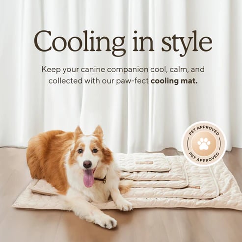 🔥Summer Hot Sale - ONLY £7.99!!⚡50K+ SOLD!🧊Pet Cooling Ice Silk Mat