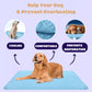 🌞🐱Summer Hot Sale 49% OFF🧊Premium Cooling Mat For Pet🐶