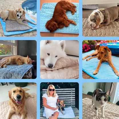 🌞🐱Summer Hot Sale 49% OFF🧊Premium Cooling Mat For Pet🐶