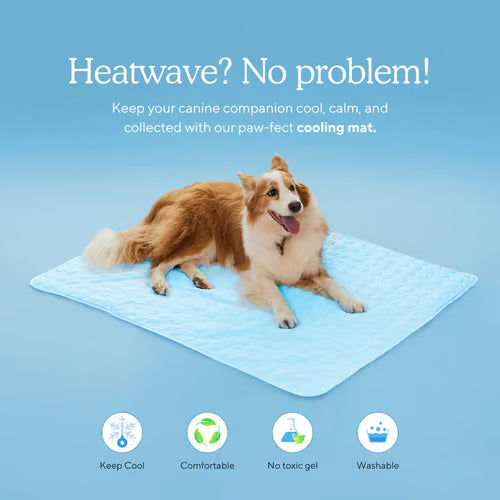 🌞🐱Summer Hot Sale 49% OFF🧊Premium Cooling Mat For Pet🐶