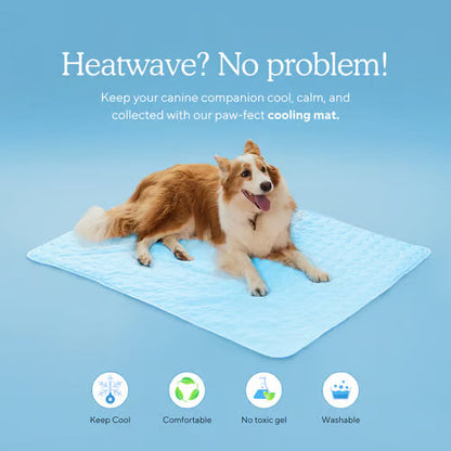🌞🐱Summer Hot Sale 49% OFF🧊Premium Cooling Mat For Pet🐶