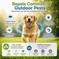 Natural Essential Oil Pet Pest Repellent Collar