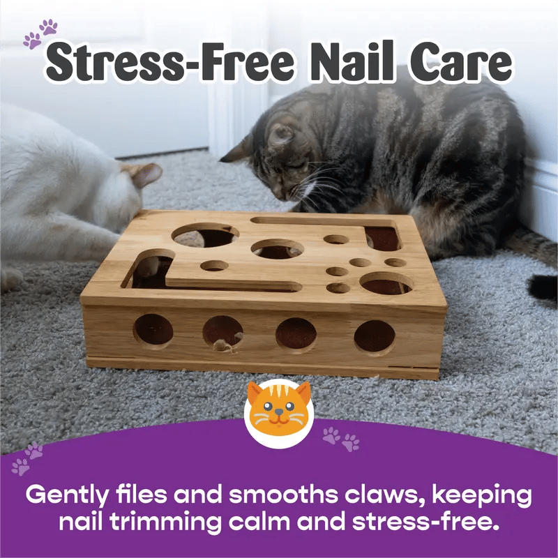 🎅Christmas Gift idea 50%OFF -🎁Cat Scratch Puzzle Enrichment Box: Nail File Stress Free Alternative to Clippers and Grinders