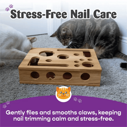 🎅Christmas Gift idea 50%OFF -🎁Cat Scratch Puzzle Enrichment Box: Nail File Stress Free Alternative to Clippers and Grinders