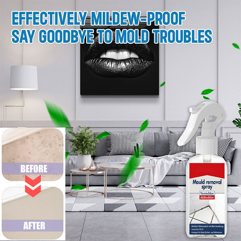 🔥Buy 1 Get 1 Free🔥All-purpose Mildew Removal Spray