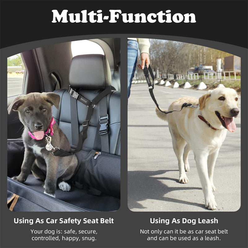 🔥New Hot Selling❤️‍🔥Buy One Get One Free🔥 2-in-1 Dog Car Seat Belt & Walking Leash