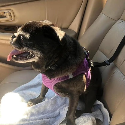 🔥New Hot Selling❤️‍🔥Buy One Get One Free🔥 2-in-1 Dog Car Seat Belt & Walking Leash
