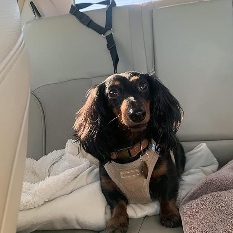 🔥New Hot Selling❤️‍🔥Buy One Get One Free🔥 2-in-1 Dog Car Seat Belt & Walking Leash
