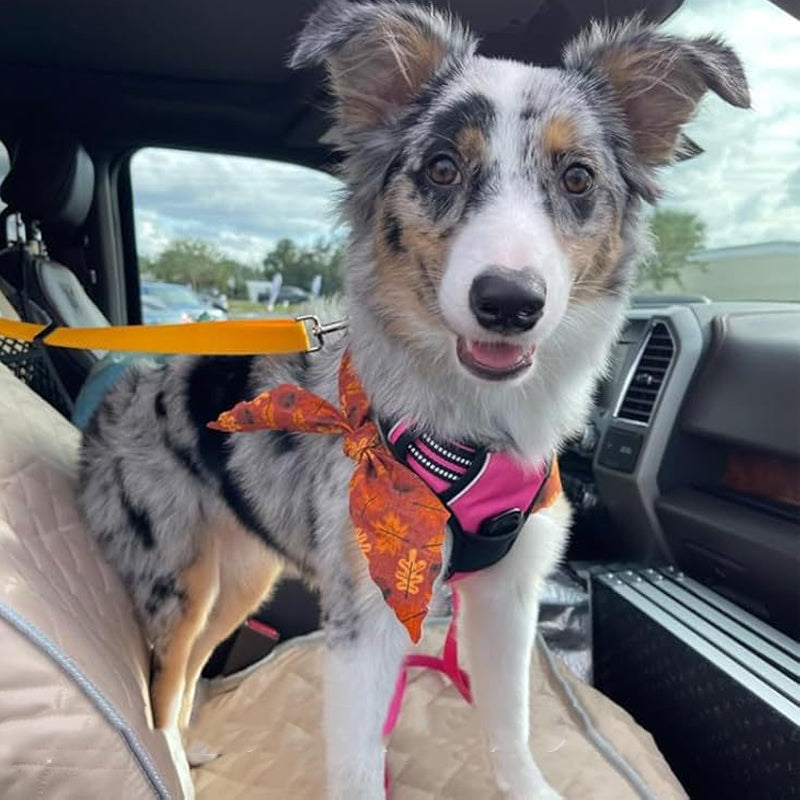 🔥New Hot Selling❤️‍🔥Buy One Get One Free🔥 2-in-1 Dog Car Seat Belt & Walking Leash