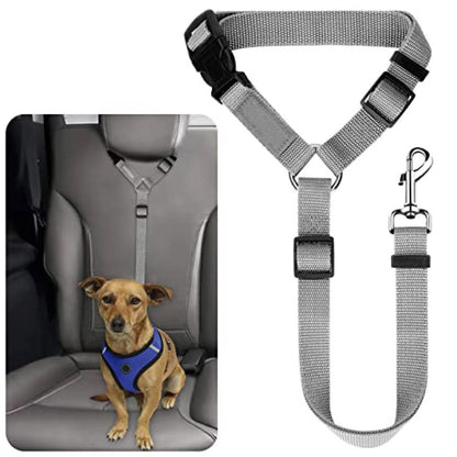 🔥New Hot Selling❤️‍🔥Buy One Get One Free🔥 2-in-1 Dog Car Seat Belt & Walking Leash
