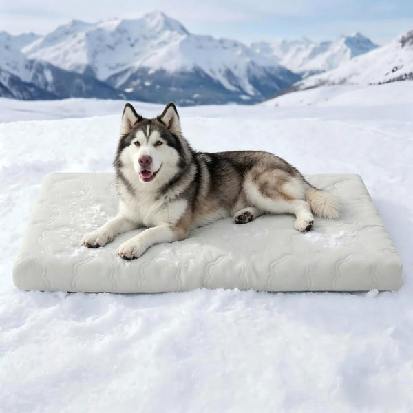 ❄️ Instant Cooling Pet Mat for Dogs & Cats | Self-Cooling, Scratch-Resistant & Non-Toxic 🐾 Easy Wipe Clean 💧 Deep Restful Sleep ✨