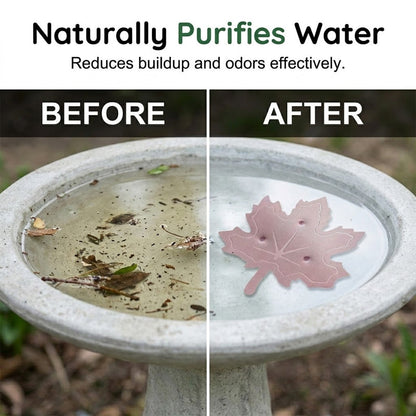 ⏳LAST DAY SALE ONLY ￡9.99!!🎁Buy 1 Get 1 Free🔥 🌿Universal Fit Bird Bath Cleaner🐦💦Wildlife-Safe Leaf Purifier for Fresh, Clear Water in Any Garden Basin | Rust-Resistant & Low Maintenance🛡️✨